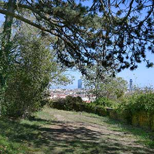 Un chemin du futur parc des Balmes, dans le 5e arrondissement.
