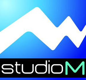 culture-equipements-enseignement-logo-studM