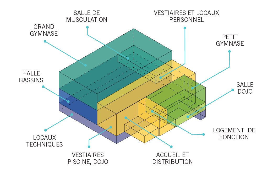 Visuel de coupe du Complexe Charial avec : le hall d'accueil, les locaux techniques, les bassins, les vestiaires, la salle dojo, les deux gymnases, la salle de musculation et le logement de fonction